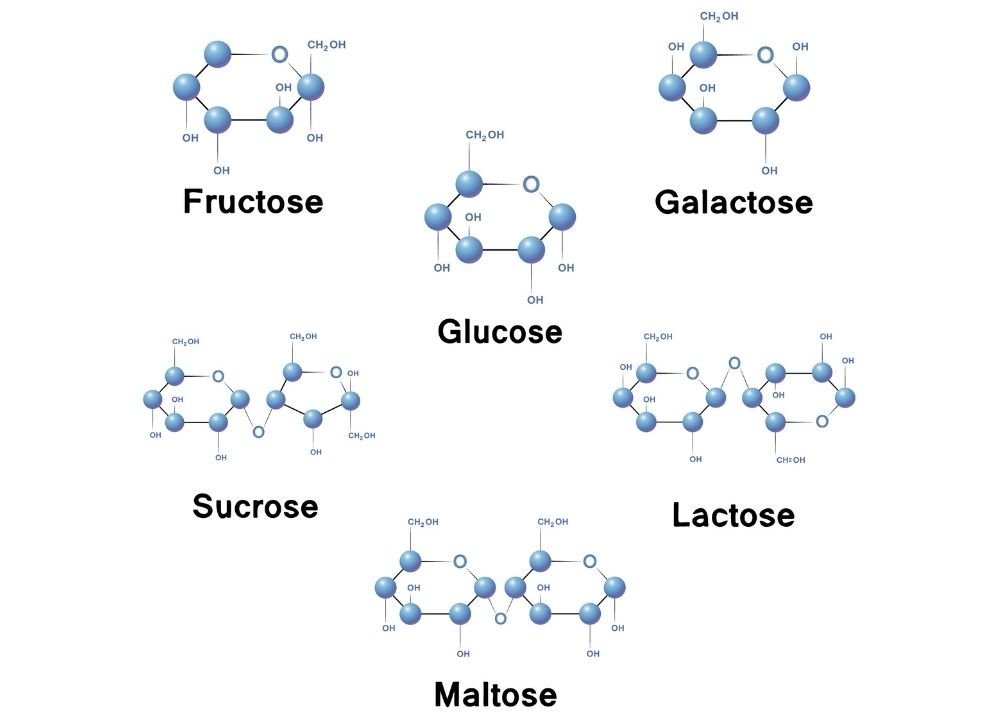 sucre-simple-formule-sucre-rapide-sucre-definition-sucres-simples-et-complexes-sucre-lent-def-sucre-simple-aliment-expose-sur-le-sucre-pdf-sucre-etymologie-fibres-amidon-saccharose-glucose-fructose-maltose-sucrose-lait-miel
