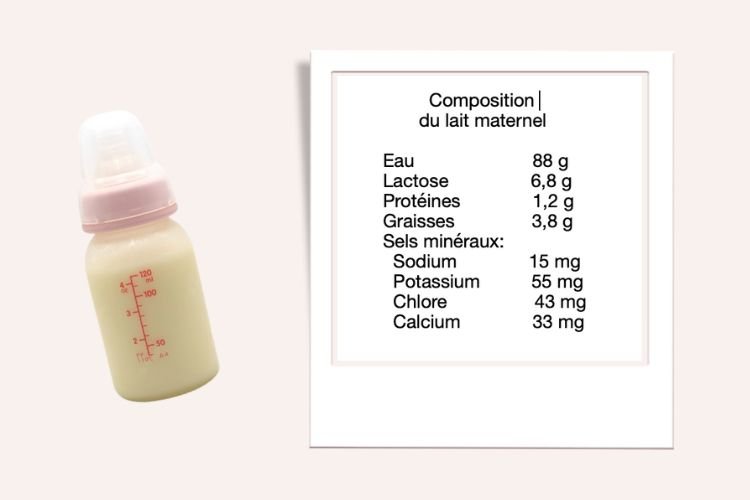 Quels-sont-les-nutriments-presents-dans-le-lait-maternel