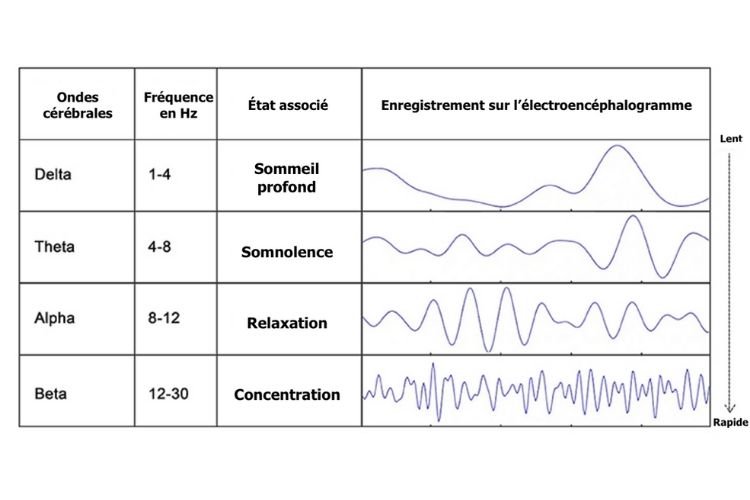 les-differentes-ondes-cerebrales-ondes-alpha-ondes-beta-ondes-theta-ondes-delta-ondes-gamma-relaxation-meditation-sons-binauraux